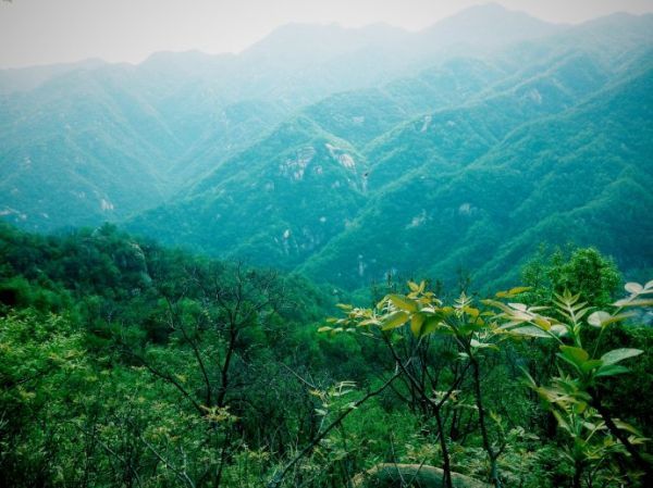 湖南嚴控采砂場使用林地審批 使用結(jié)束后一年內(nèi)需復(fù)綠